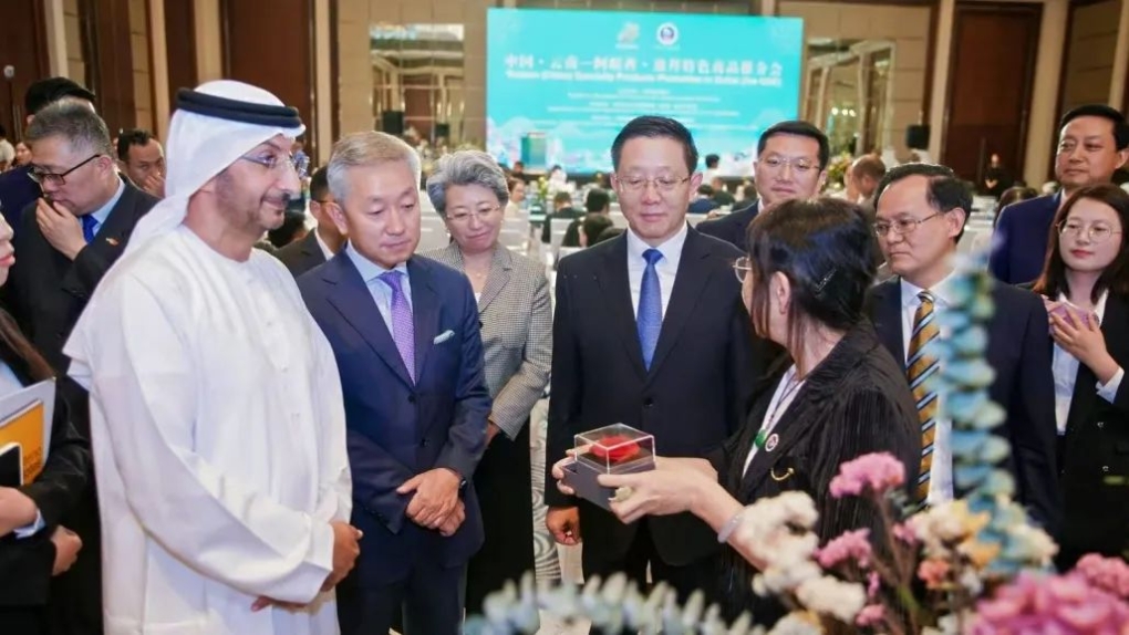 未來阿聯(lián)酋將與中國在貿(mào)易和投資方面深度合作